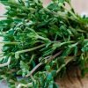 Healing yourself from your kitchen, Exiting Pantry Healers. | Posheum thyme-header