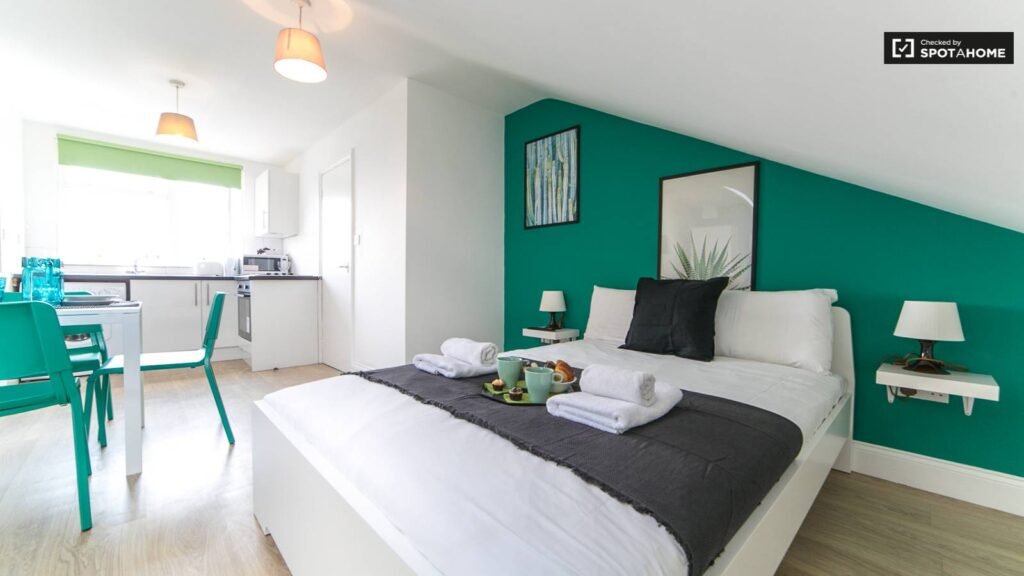 8c24bc200a1646 1024x576 | Bright studio apartment to rent